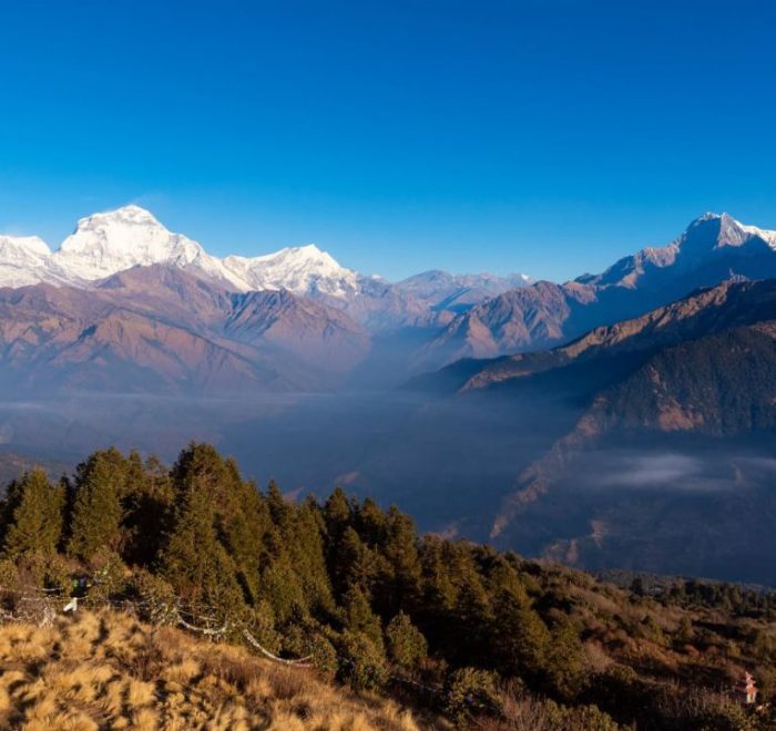 Poon hill view point