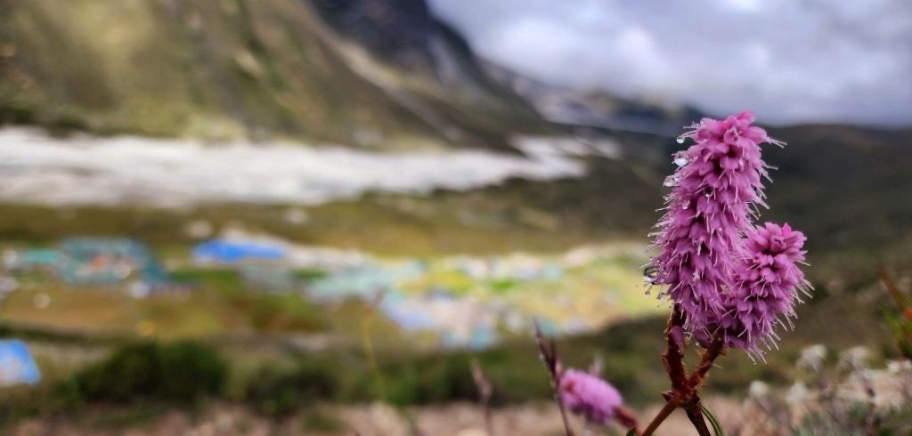 monsoon trekking nepal